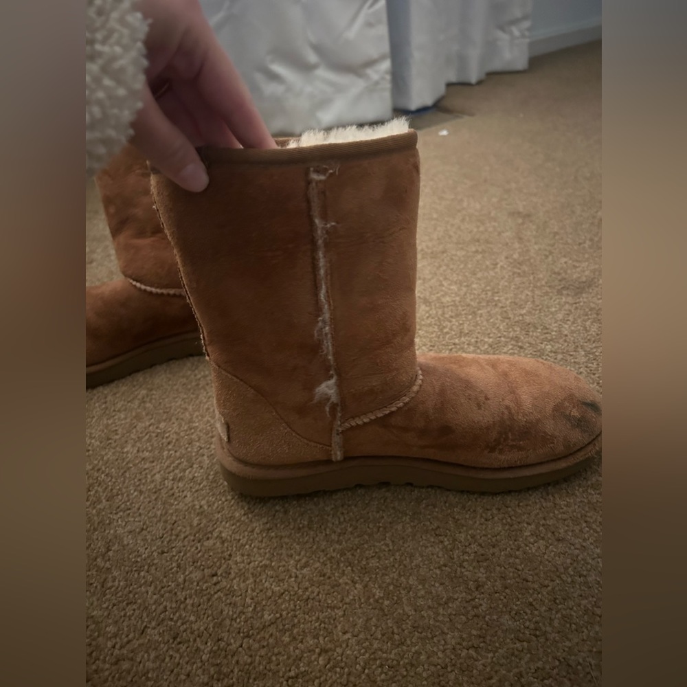 Ugg Mini Boot - image 6